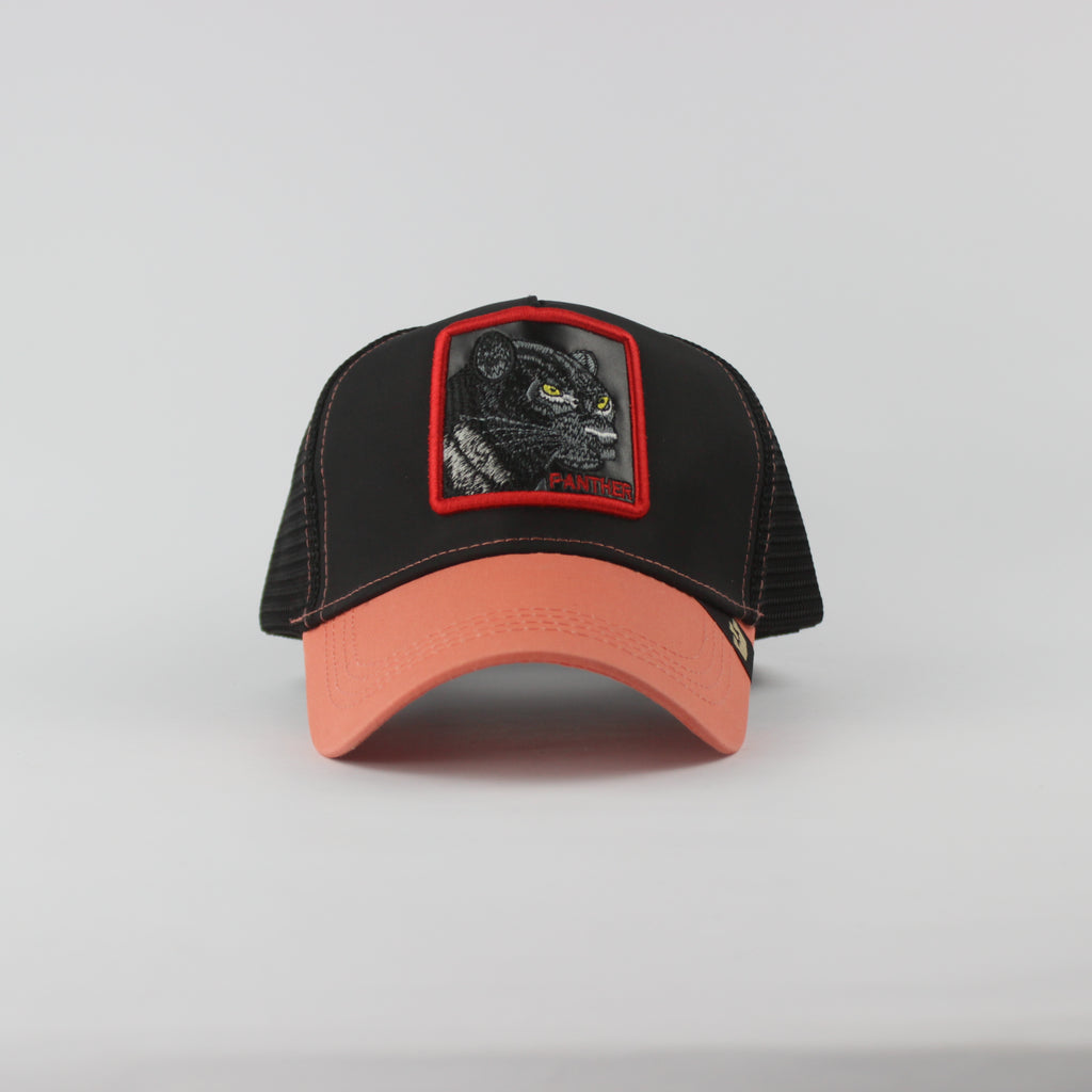 قبعة بيسبول - D439