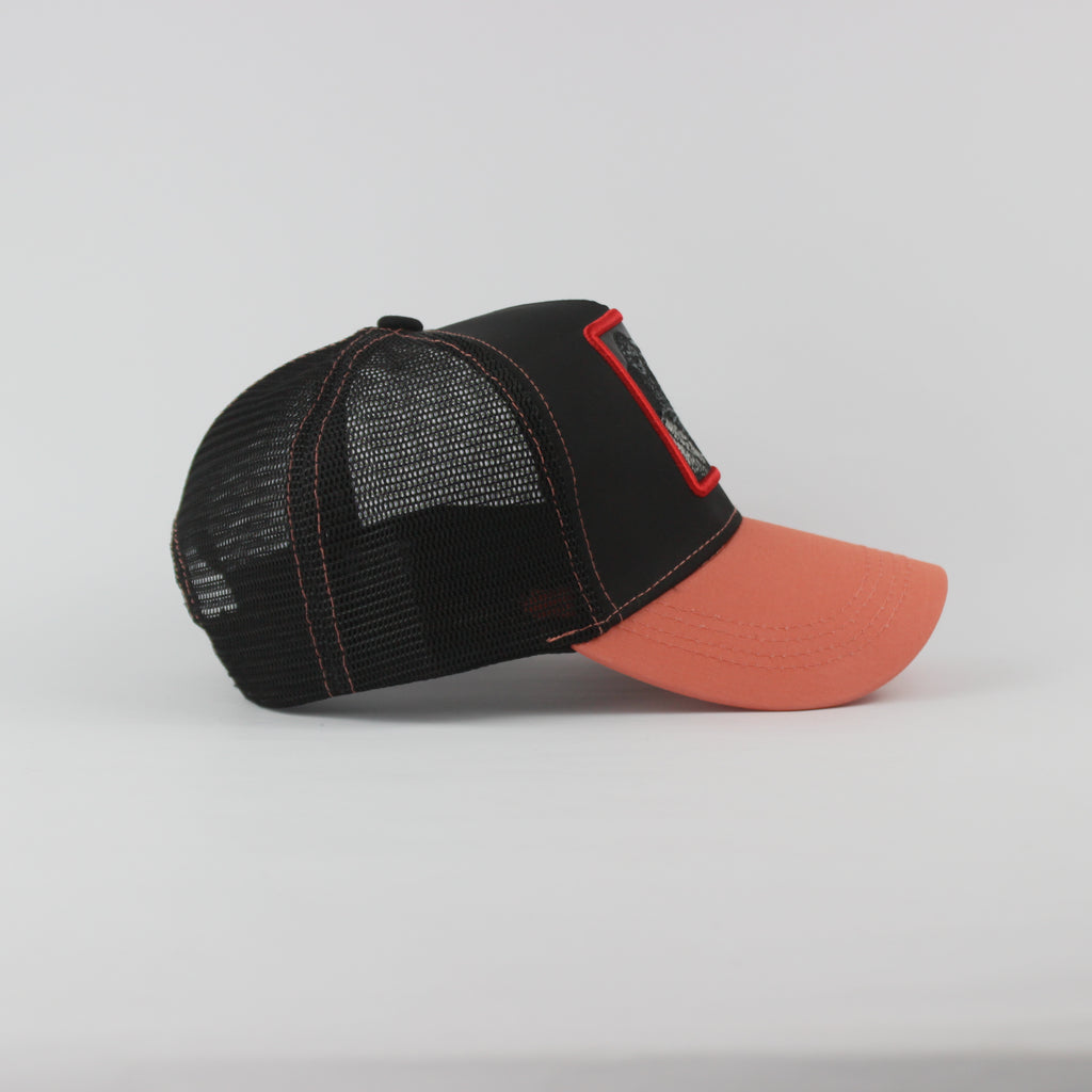 قبعة بيسبول - D439